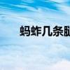 蚂蚱几条腿打三个数字（蚂蚱几条腿）