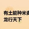 有土能种米麦有水能养鱼虾有人不是你我有马龙行天下