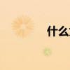 什么为寡妇年（寡妇春秋）