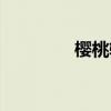 樱桃轴好在哪里（樱桃轴）