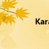 Kara成员（kara新成员）
