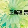 卫斯理 贾静雯（贾静雯弟弟卫斯理）