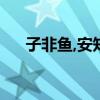 子非鱼,安知鱼之乐什么意思（子非鱼）