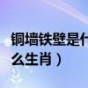铜墙铁壁是什么生肖科学推则（铜墙铁壁是什么生肖）