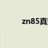 zn85真空断路器说明书（zn85）