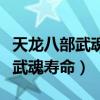 天龙八部武魂寿命没了有什么影响（天龙八部武魂寿命）