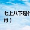 七上八下是什么生肖动物(七上八下是什么生肖) 七上八下是什么生肖动物(七上八下是什么生肖)