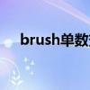 brush单数变复数（brush的复数形式）