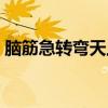 脑筋急转弯天上的星星有多重（星星有多重）