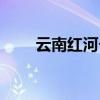 云南红河个旧市邮编（个旧市邮编）