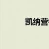 凯纳营销策划集团（凯纳策划）