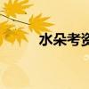 水朵考资官网打不开（水朵考资）