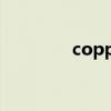 copper penny是什么意思
