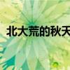 北大荒的秋天大豆摇铃千里金的意思是什么 北大荒的秋天大豆摇铃千里金的意思是什么