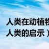 人类在动植物的启示下有哪些发明（动植物给人类的启示）