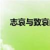 志哀与致哀的解释（志哀与致哀的区别）
