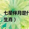 七星伴月是什么生肖和数字（七星伴月是什么生肖）