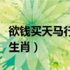 欲钱买天马行空是什么生肖（天马行空是什么生肖）