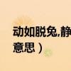 动如脱兔,静若处子是什么意思(处子是什么意思) 动如脱兔,静若处子是什么意思(处子是什么意思)