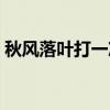 秋风落叶打一准确生肖（秋风落叶打一生肖）