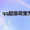 qq超级萌宠为什么打不开（qq宠物打不开）