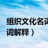 组织文化名词解释管理学周三多（组织文化名词解释）
