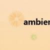 ambient occlusion是什么意思