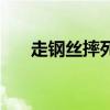 走钢丝摔死的人的效应（走钢丝摔死）