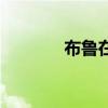 布鲁在哪捕捉（布鲁在哪抓）