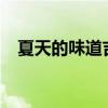 夏天的味道吉他谱c（夏天的味道吉他谱）