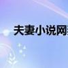 夫妻小说网妻子的外遇小说（外遇小说）