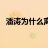 潘涛为什么离开东方（潘涛为什么去央视）