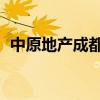 中原地产成都分公司高管（中原地产 成都）
