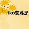 tko获胜是什么意思（tko是什么意思）
