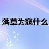 落草为寇什么生肖动物（落草为寇什么生肖）