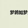 梦鸽如梦如歌演唱会（梦鸽演唱会）