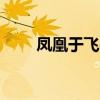 凤凰于飞gl完结在线（凤凰于飞gl）