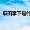瓜田李下是什么生肖?（瓜田李下打一生肖）