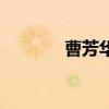 曹芳华氏乐痔疮膏（曹芳华）