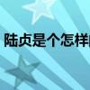 陆贞是个怎样的人（历史上有陆贞这个人吗）
