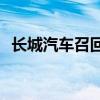 长城汽车召回部分欧拉iQ（长城汽车召回）
