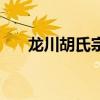 龙川胡氏宗祠导游词（龙川胡氏宗祠）