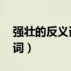 强壮的反义词是什么 标准答案（强壮的反义词）