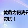 黄菡为何离开非诚勿扰（黄菡为什么离开非诚勿扰）