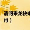 请问乘龙快婿是什么生肖（乘龙快婿是什么生肖）