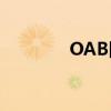 OAB团队是指什么（oabt）