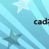 cad衣柜尺寸（衣橱尺寸）