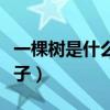 一棵树是什么牌子的化妆品（一棵树是什么牌子）