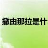 撒由那拉是什么意思（撒有拉拉是什么意思）