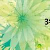 3锅儿团队(3锅儿) 3锅儿团队(3锅儿)